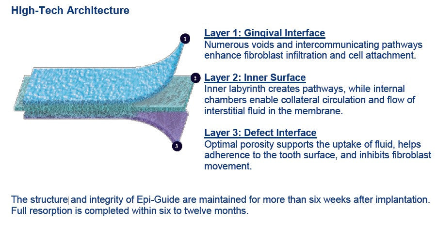 EPI GUIDE