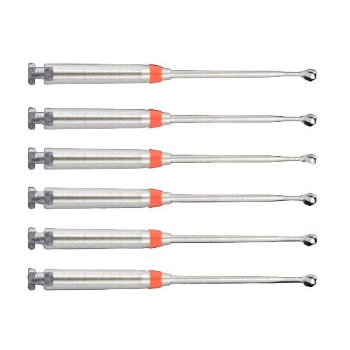 31mm Shallow # 4 Red Bur