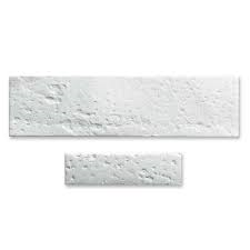 Puros Dermis Thin Tissue Matrix 20 x 40mm - GBR用