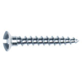 1.5mm Diameter Screw 直径 1.5ミリ ネジ (10mm) 1本