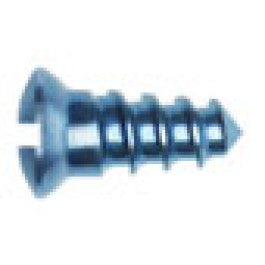 2.0mm Diameter Emergency Screw 直径 2.0mm 緊急スクリュー (4mm) 1本