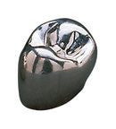 3M ESPE Iso - Form テンポラリー クラウン (左上 / 第一小臼歯用) U - 43