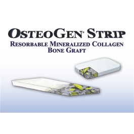 オステオ ゲン ストリップ OsteoGen Strips Small 12 x 20 x 3mm