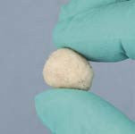 OsseoFiber Demineralized Cortical Fibers 1.0cc