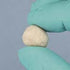 OsseoFiber Demineralized Cortical Fibers 0.5cc
