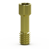 Precision Angled Screw